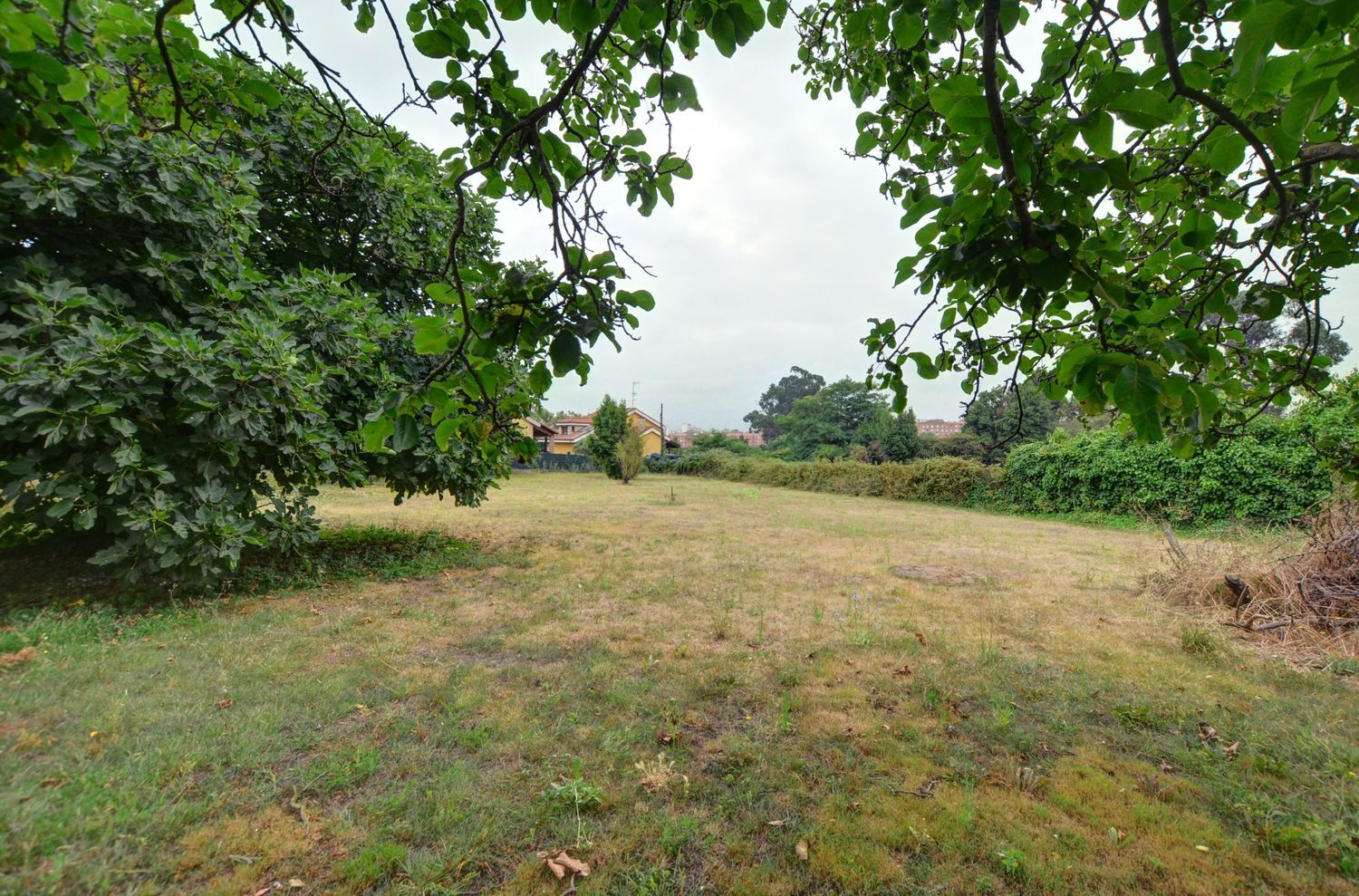 Fincas y solares-Venta-GijÃ³n-1834822-Foto-14