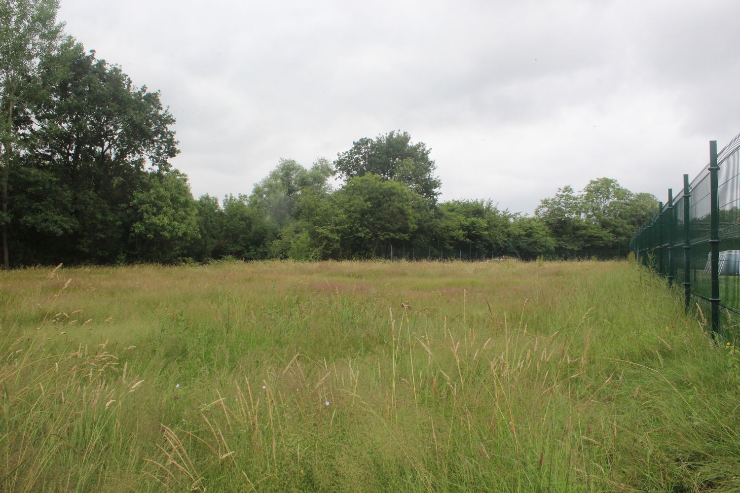 Fincas y solares-Venta-Siero-897928-Foto-3