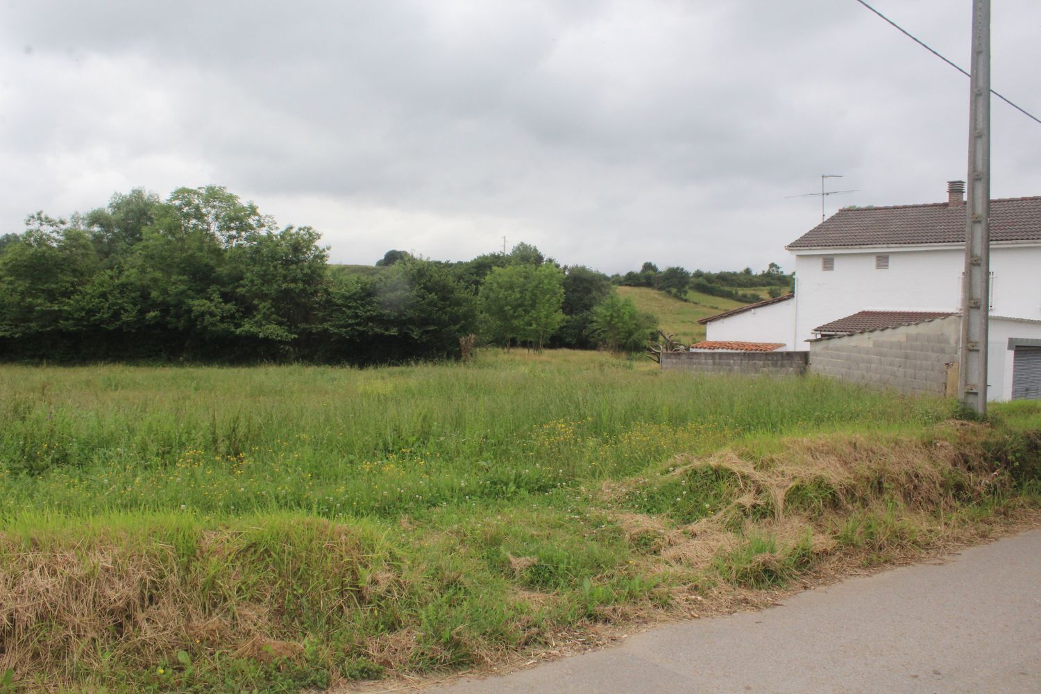 Fincas y solares-Venta-Siero-897928-Foto-5