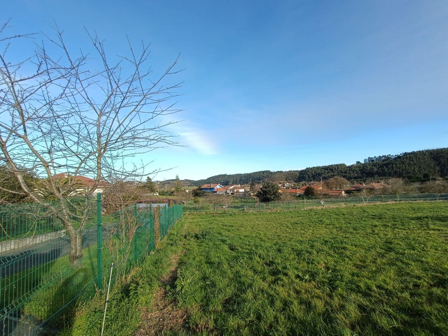 Fincas y solares-Venta-Castrillón-1653386