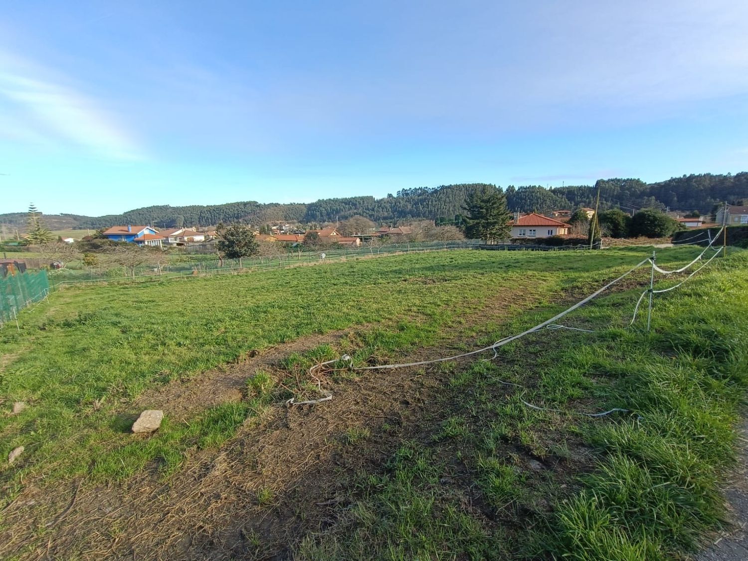 Fincas y solares-Venta-CastrillÃ³n-1653386-Foto-4