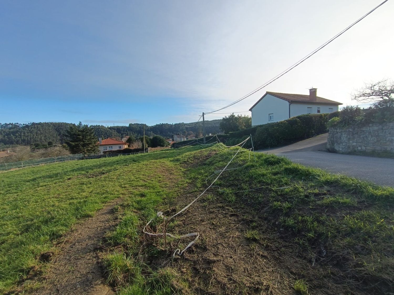 Fincas y solares-Venta-CastrillÃ³n-1653386-Foto-5