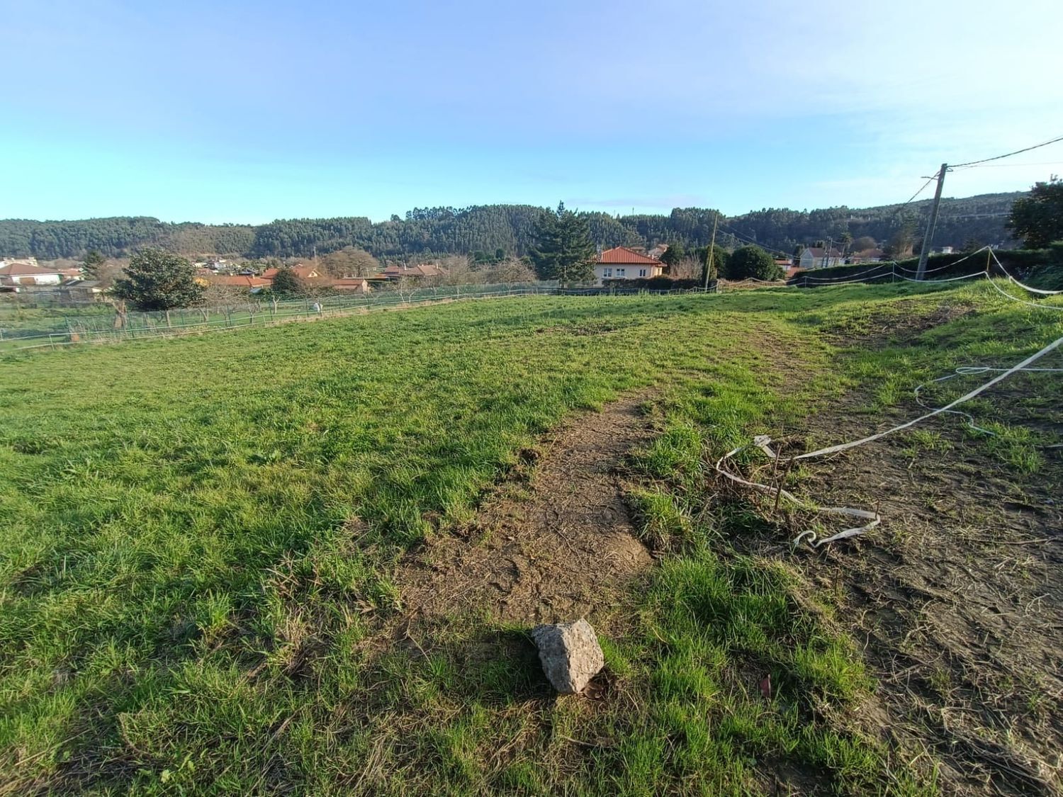 Fincas y solares-Venta-CastrillÃ³n-1653386-Foto-6