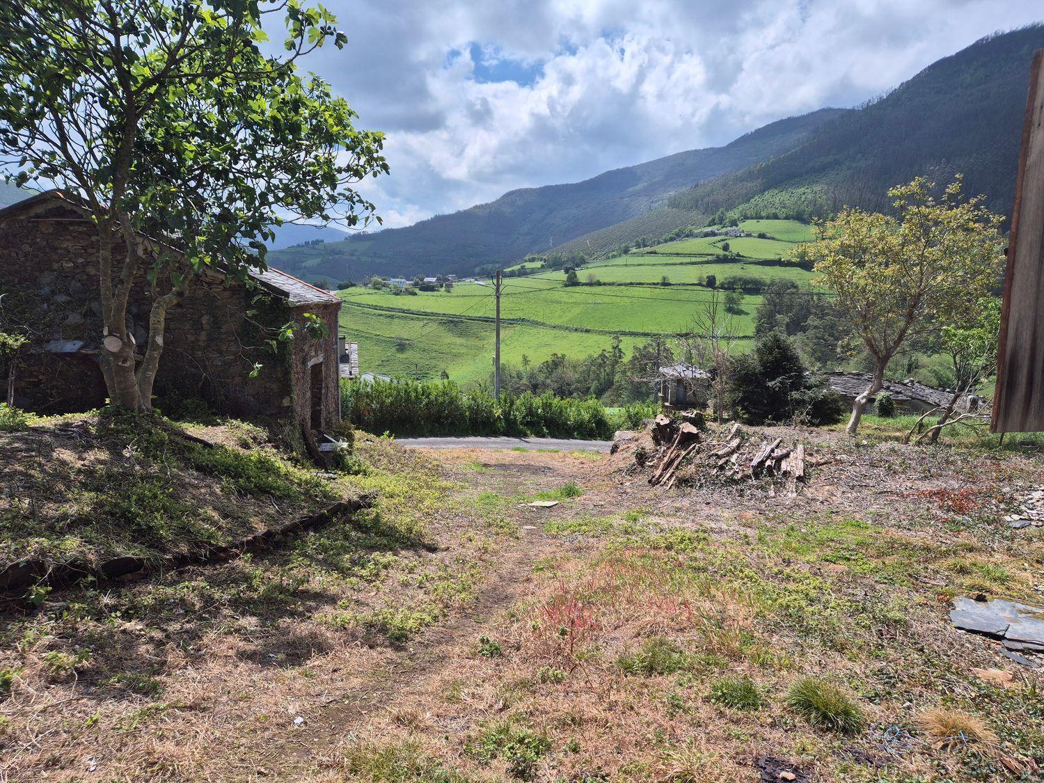 Casas o chalets-Venta-Vegadeo-1831224-Foto-5