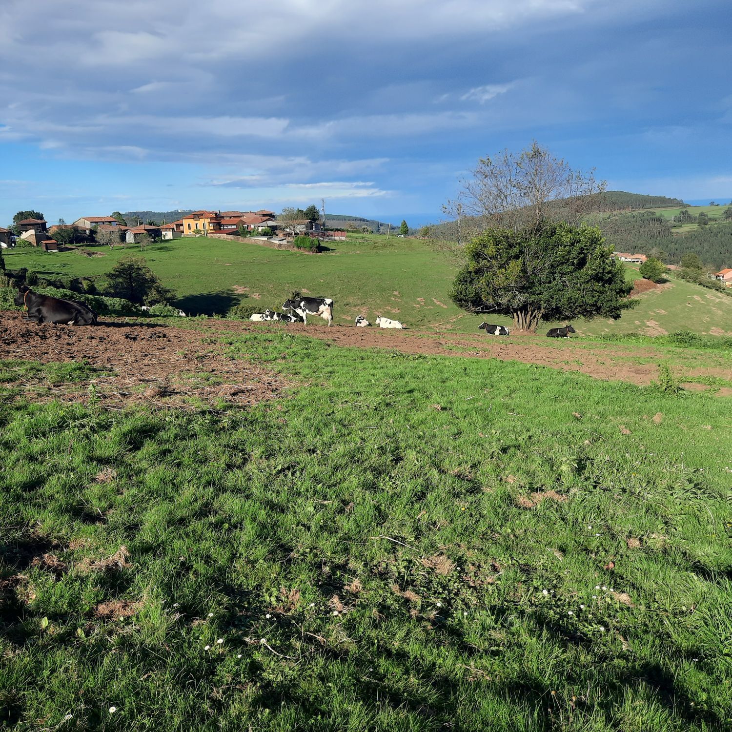 Fincas y solares-Venta-Cudillero-742450-Foto-3
