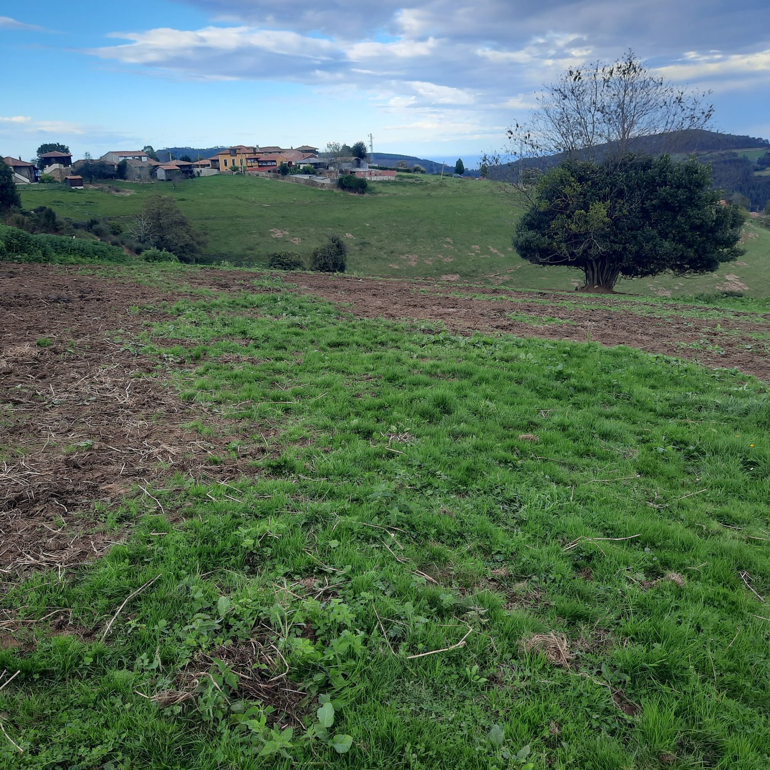 Fincas y solares-Venta-Cudillero-742450-Foto-8