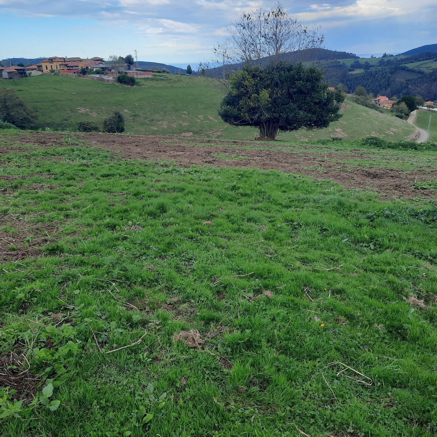 Fincas y solares-Venta-Cudillero-742450-Foto-11
