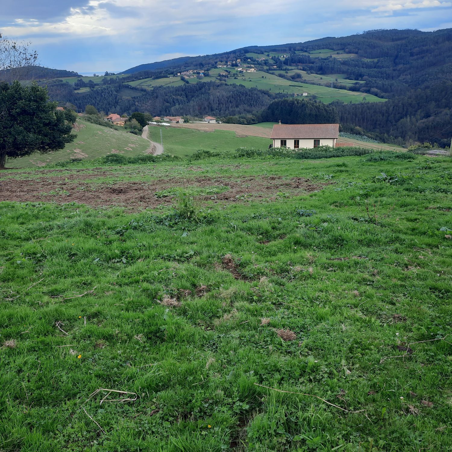 Fincas y solares-Venta-Cudillero-742450-Foto-13