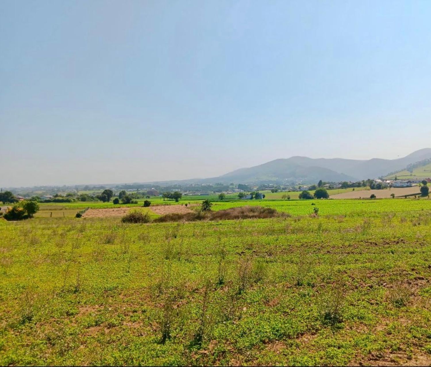 Casas o chalets-Venta-ValdÃ©s-1834085-Foto-5