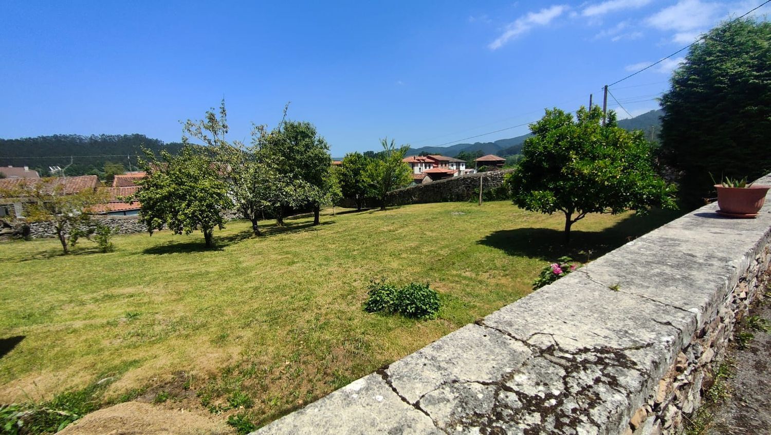 Fincas y solares-Venta-Pravia-1834079-Foto-3