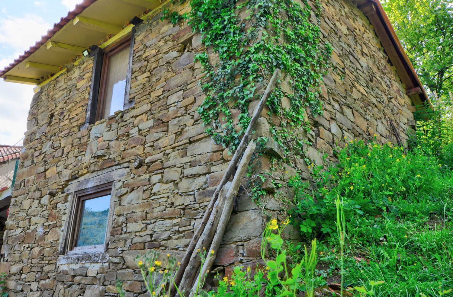 Casas o chalets-Venta-San MartÃ­n del Rey Aurelio-1731775-Foto-29
