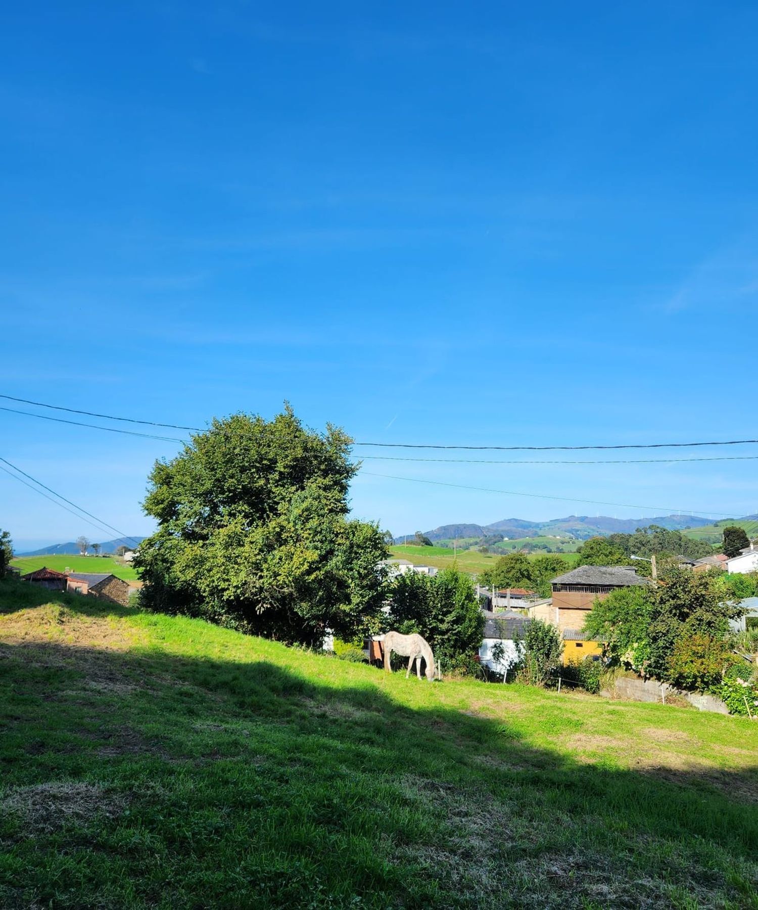 Casas o chalets-Venta-ValdÃ©s-1742515-Foto-11