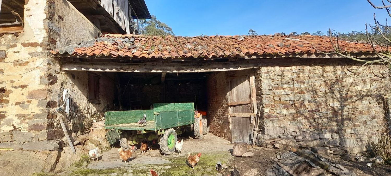 Casas o chalets-Venta-ValdÃ©s-1653722-Foto-3