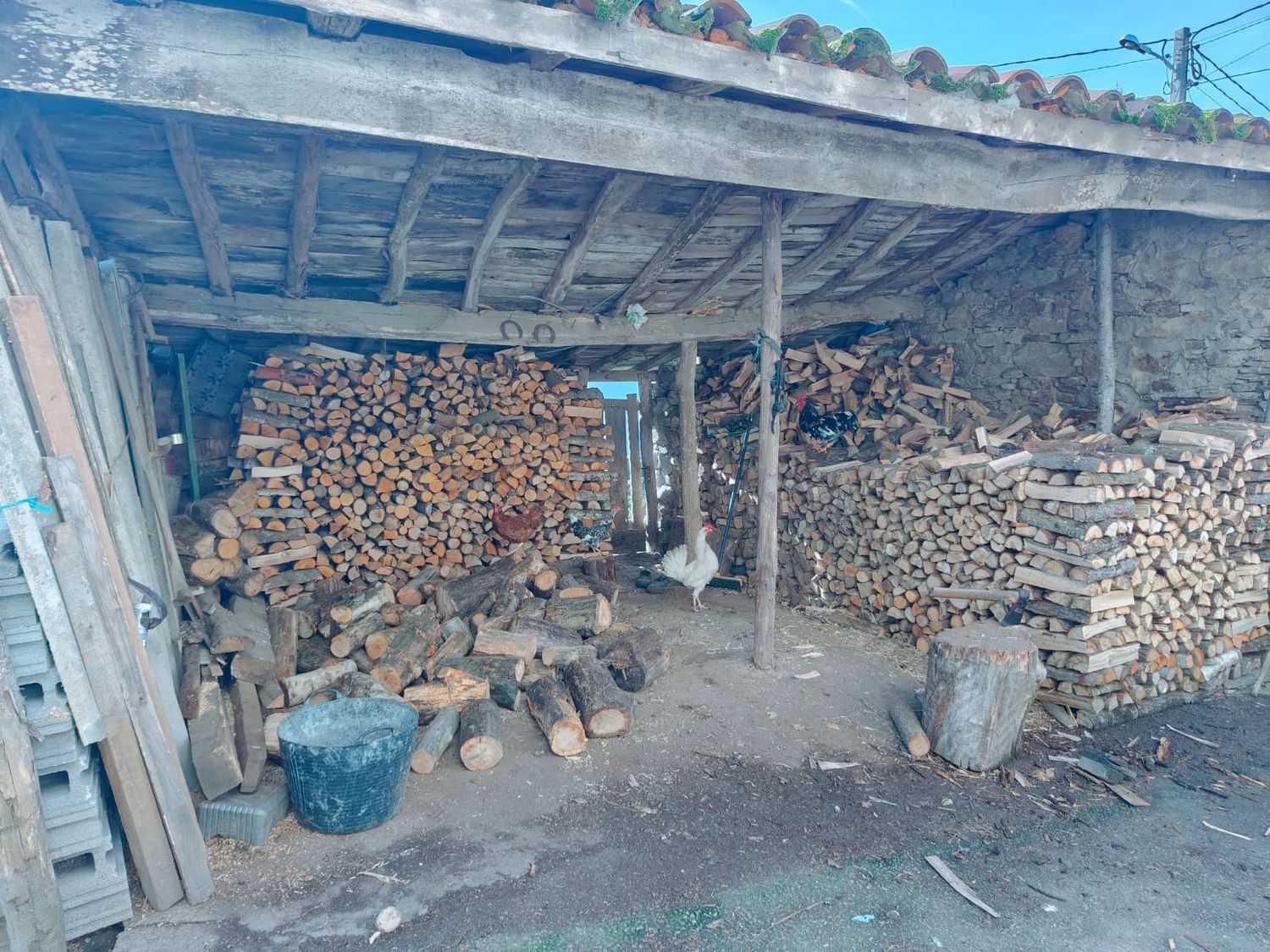 Casas o chalets-Venta-ValdÃ©s-1653722-Foto-6