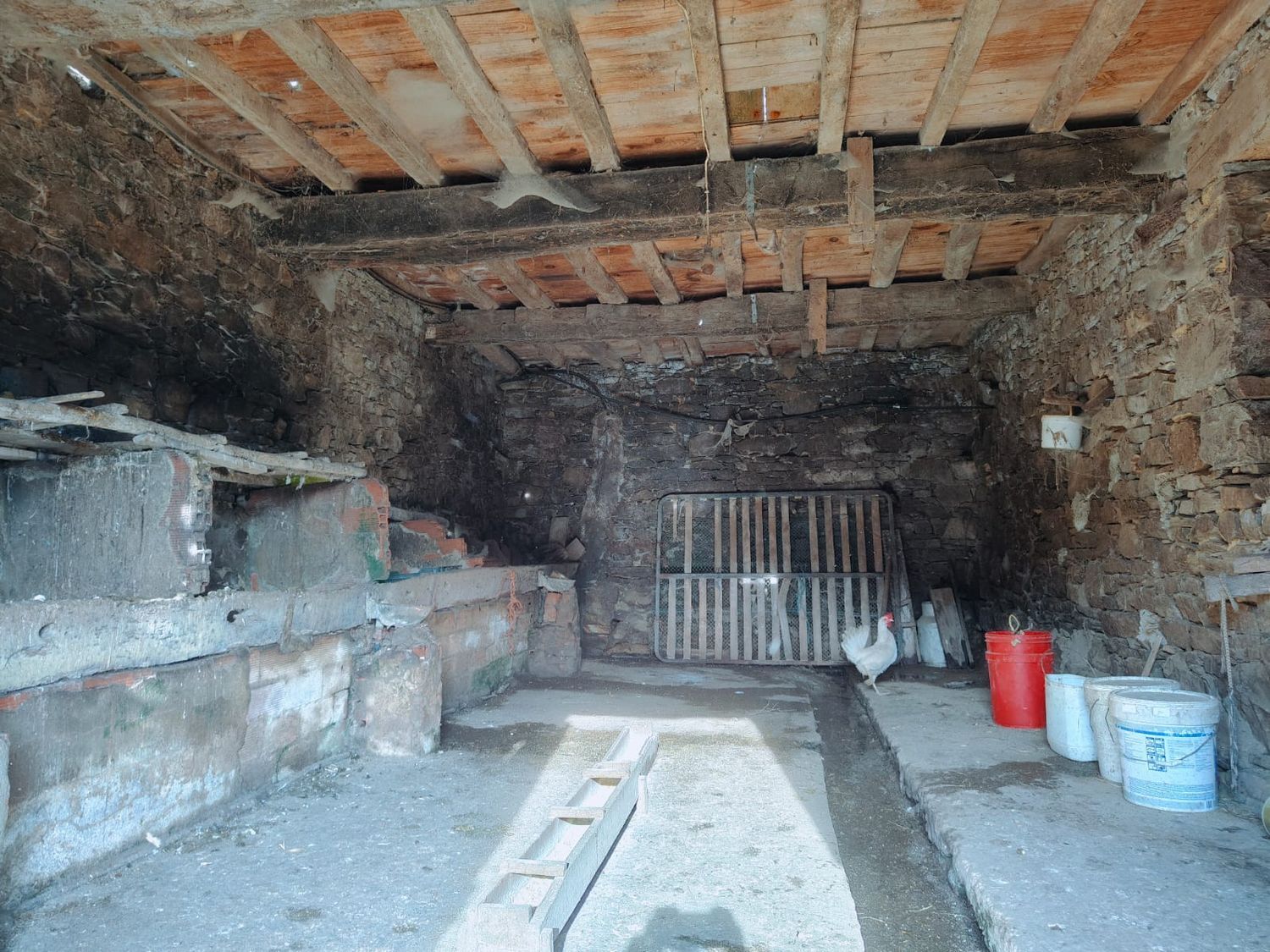 Casas o chalets-Venta-ValdÃ©s-1653722-Foto-24