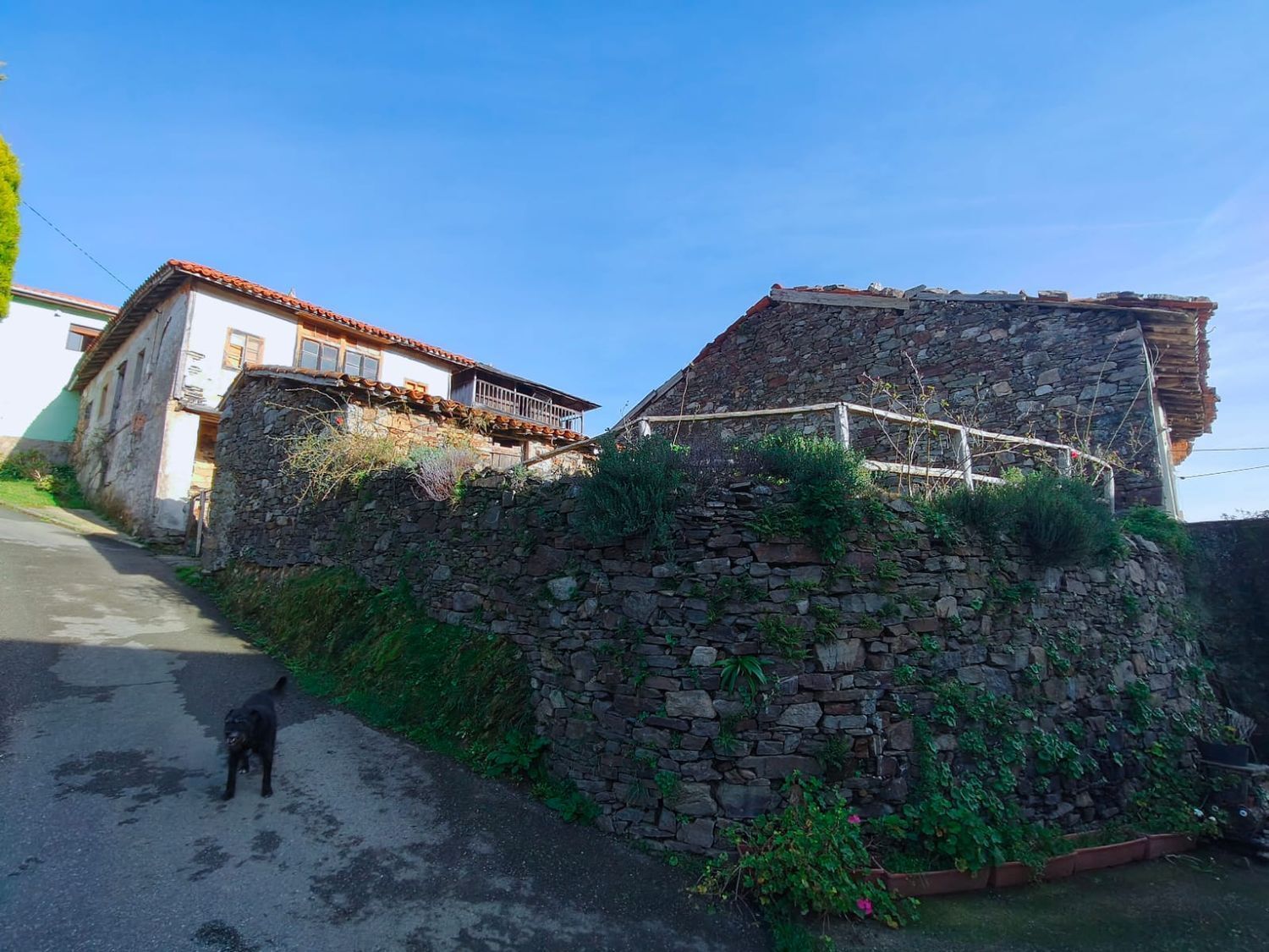 Casas o chalets-Venta-ValdÃ©s-1653722-Foto-33
