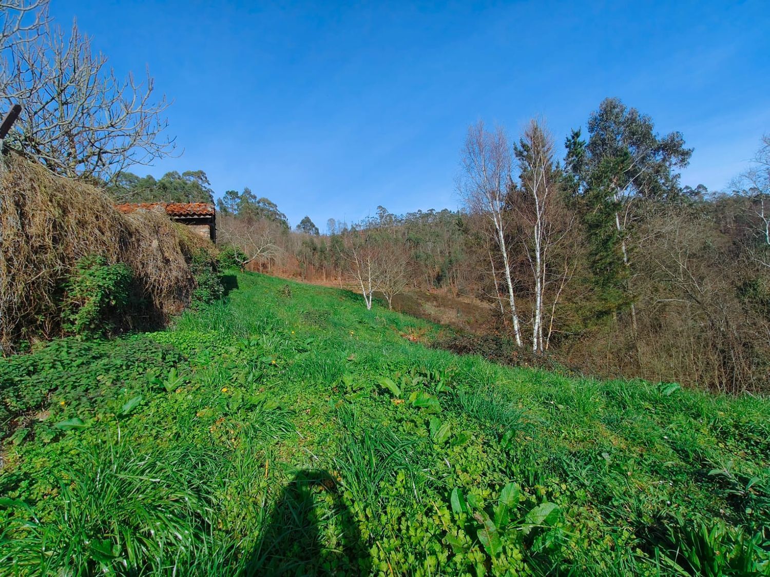 Casas o chalets-Venta-ValdÃ©s-1653722-Foto-37