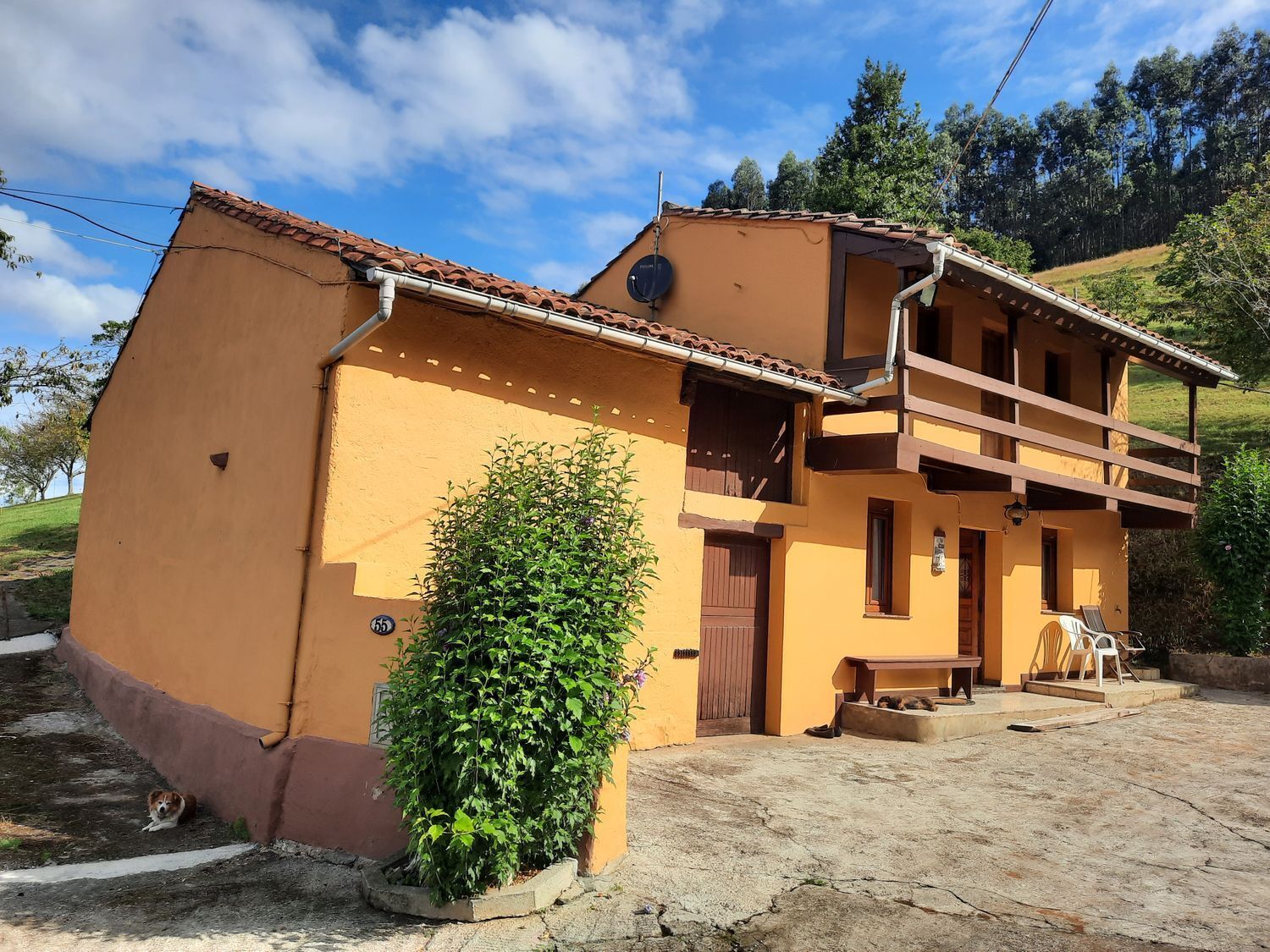 Casas o chalets-Venta-Gijón-798570