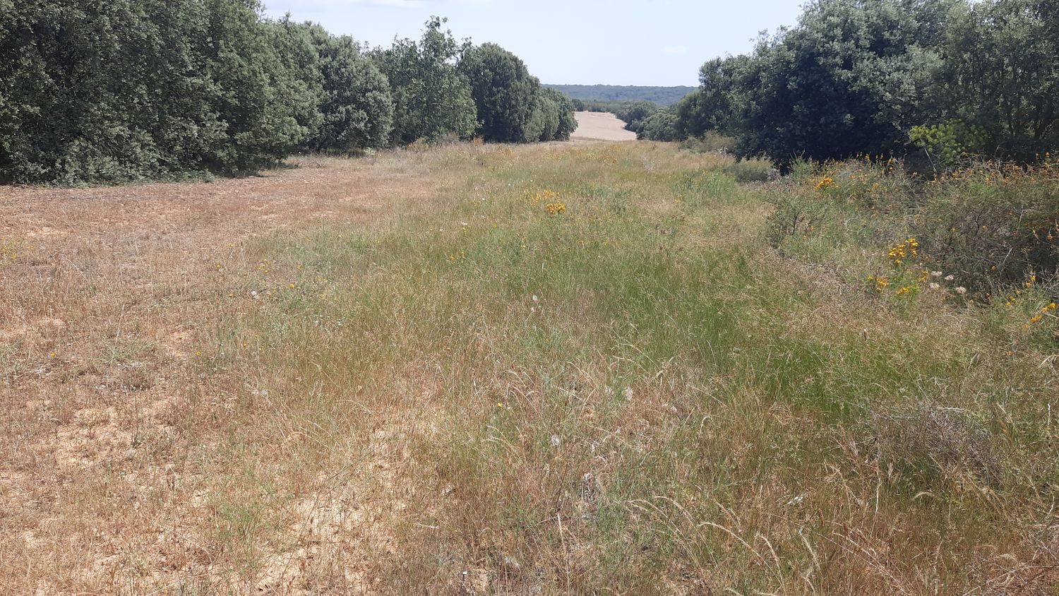 Fincas y solares-Venta-Villares de Ãrbigo-662264-Foto-4