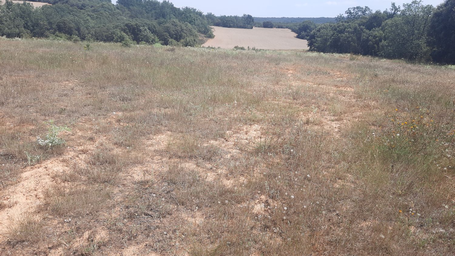 Fincas y solares-Venta-Villares de Ãrbigo-662264-Foto-5