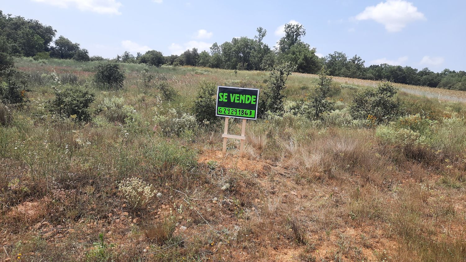 Fincas y solares-Venta-Villares de Ãrbigo-662264-Foto-3