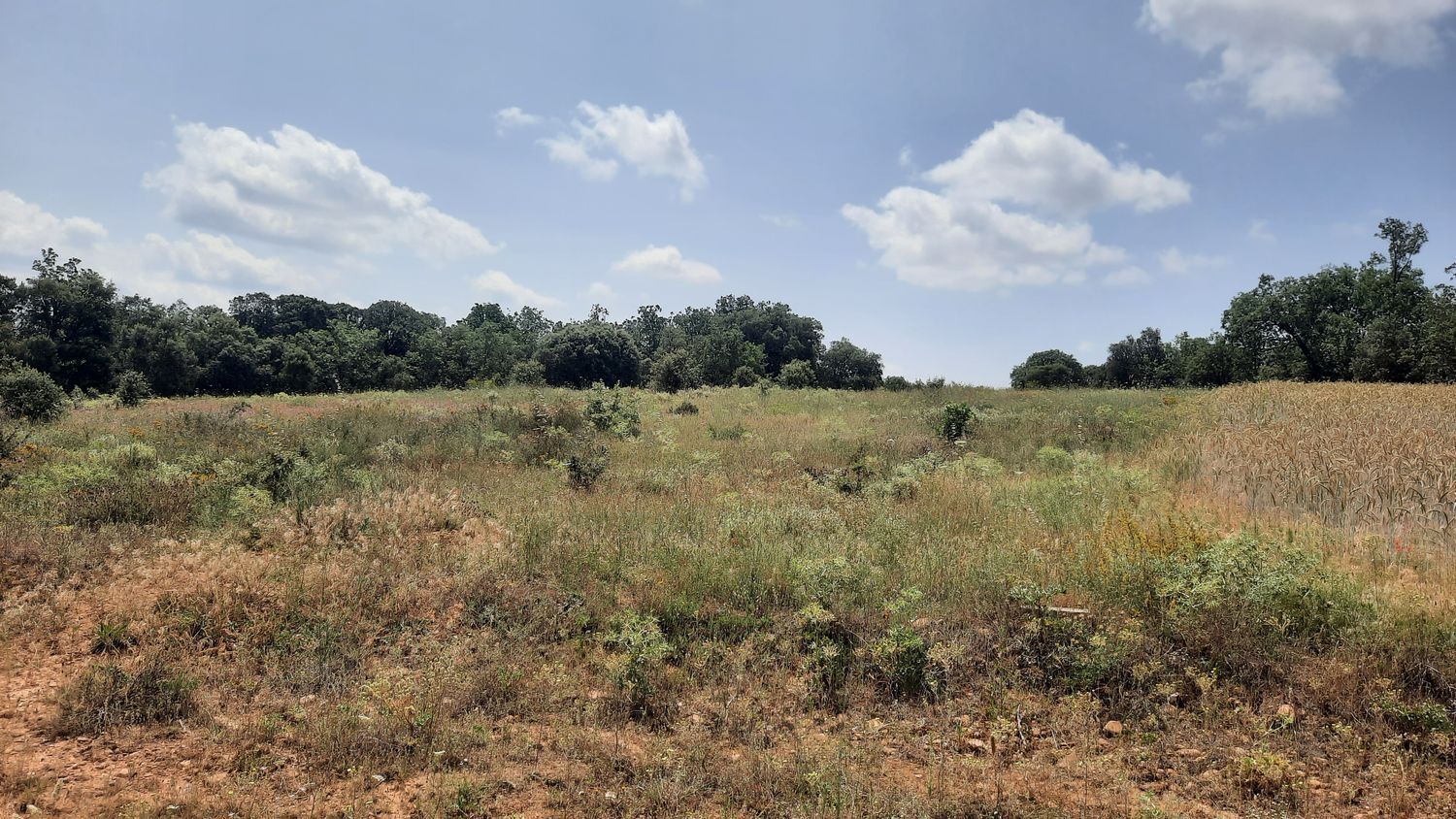 Fincas y solares-Venta-Villares de Ãrbigo-662264-Foto-10