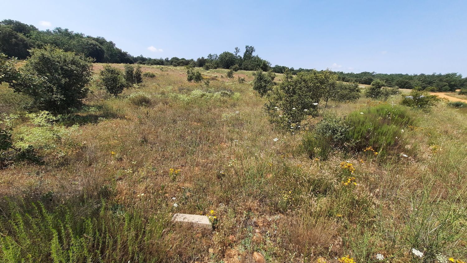 Fincas y solares-Venta-Villares de Ãrbigo-662264-Foto-7
