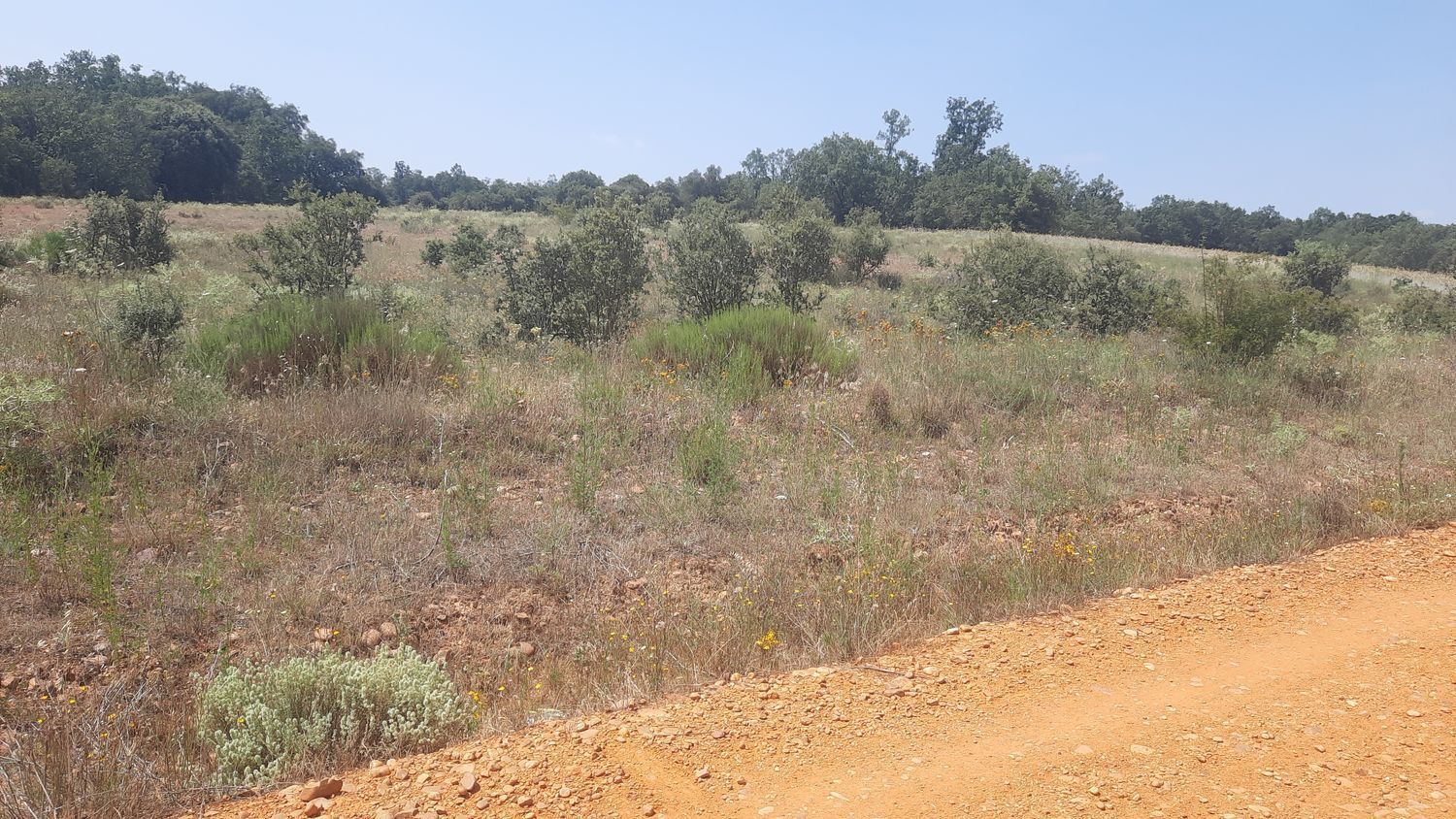 Fincas y solares-Venta-Villares de Ãrbigo-662264-Foto-9