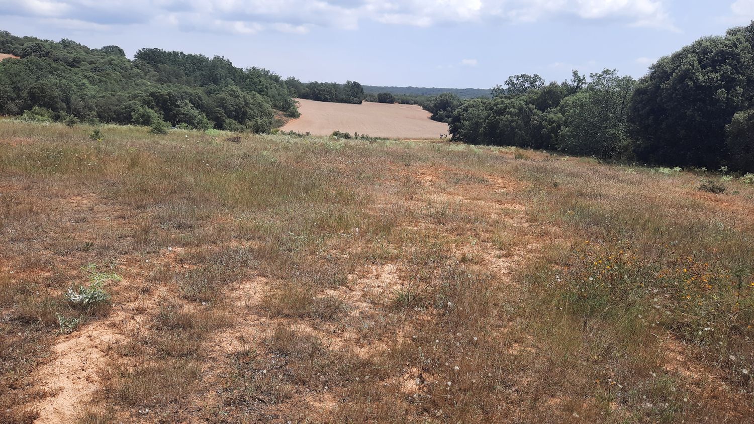 Fincas y solares-Venta-Villares de Ãrbigo-662264-Foto-13