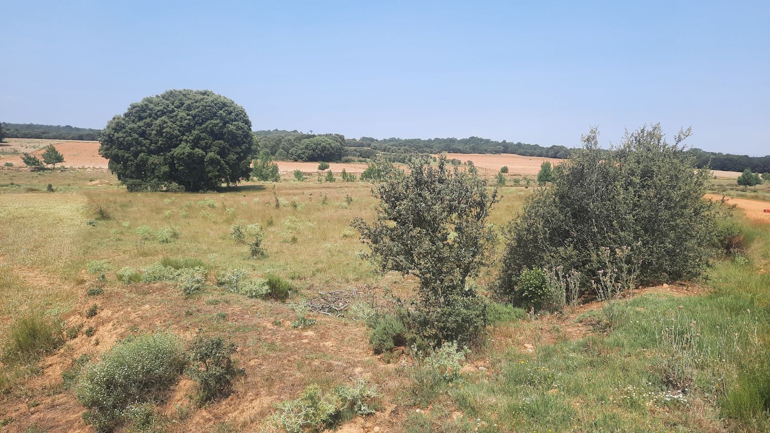 Fincas y solares-Venta-Villares de Ãrbigo-662264-Foto-20