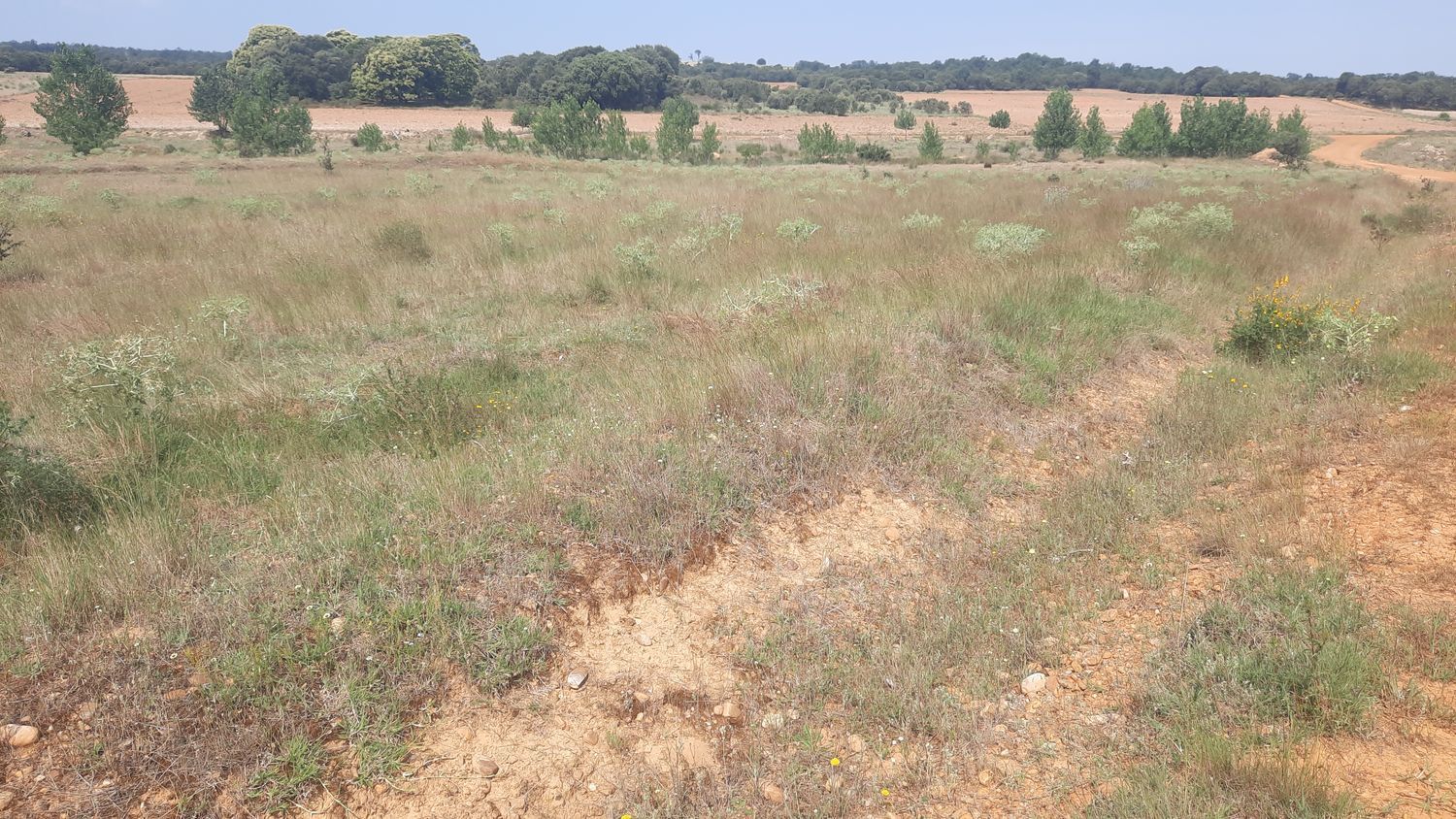 Fincas y solares-Venta-Villares de Ãrbigo-662264-Foto-17