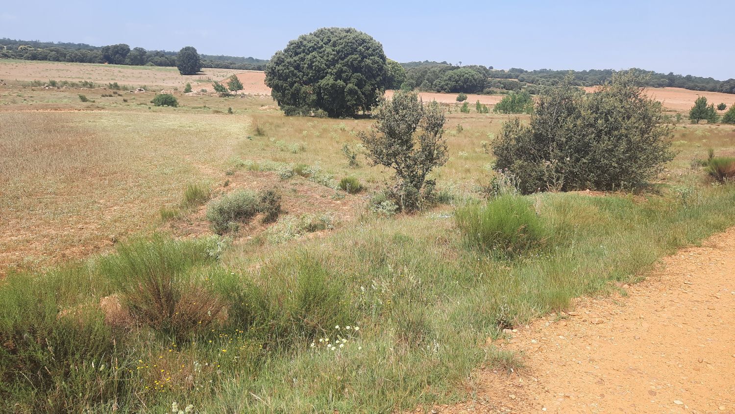 Fincas y solares-Venta-Villares de Ãrbigo-662264-Foto-21