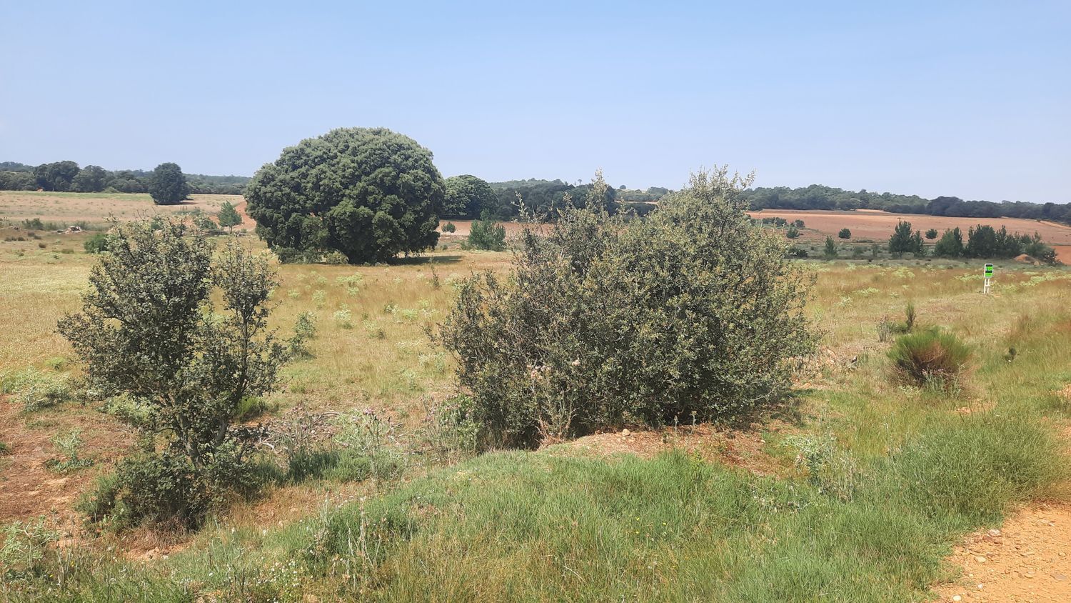 Fincas y solares-Venta-Villares de Ãrbigo-662264-Foto-22