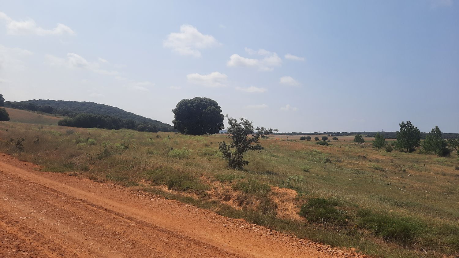 Fincas y solares-Venta-Villares de Ãrbigo-662264-Foto-25