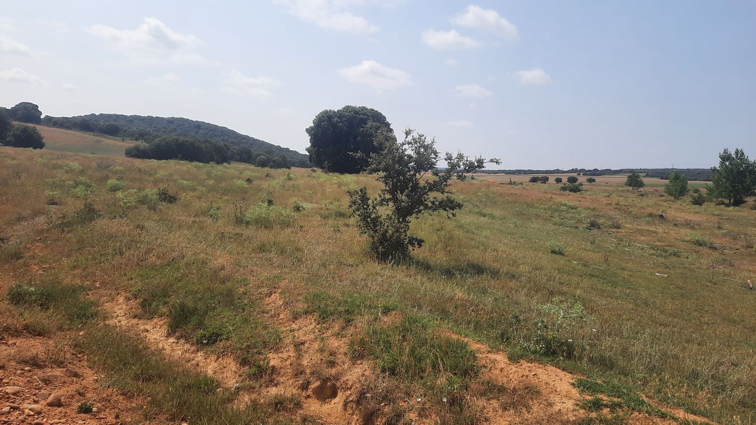 Fincas y solares-Venta-Villares de Ãrbigo-662264-Foto-24