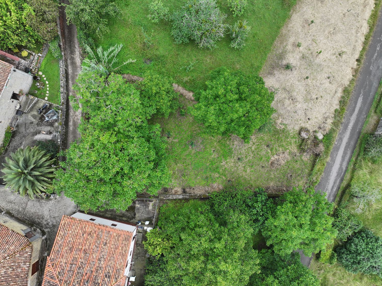 Fincas y solares-Venta-Villaviciosa-1766343-Foto-2