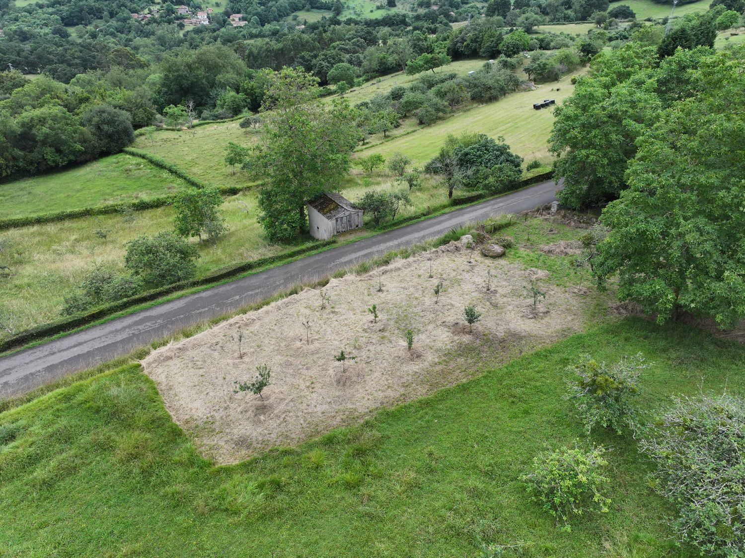 Fincas y solares-Venta-Villaviciosa-1766343-Foto-15