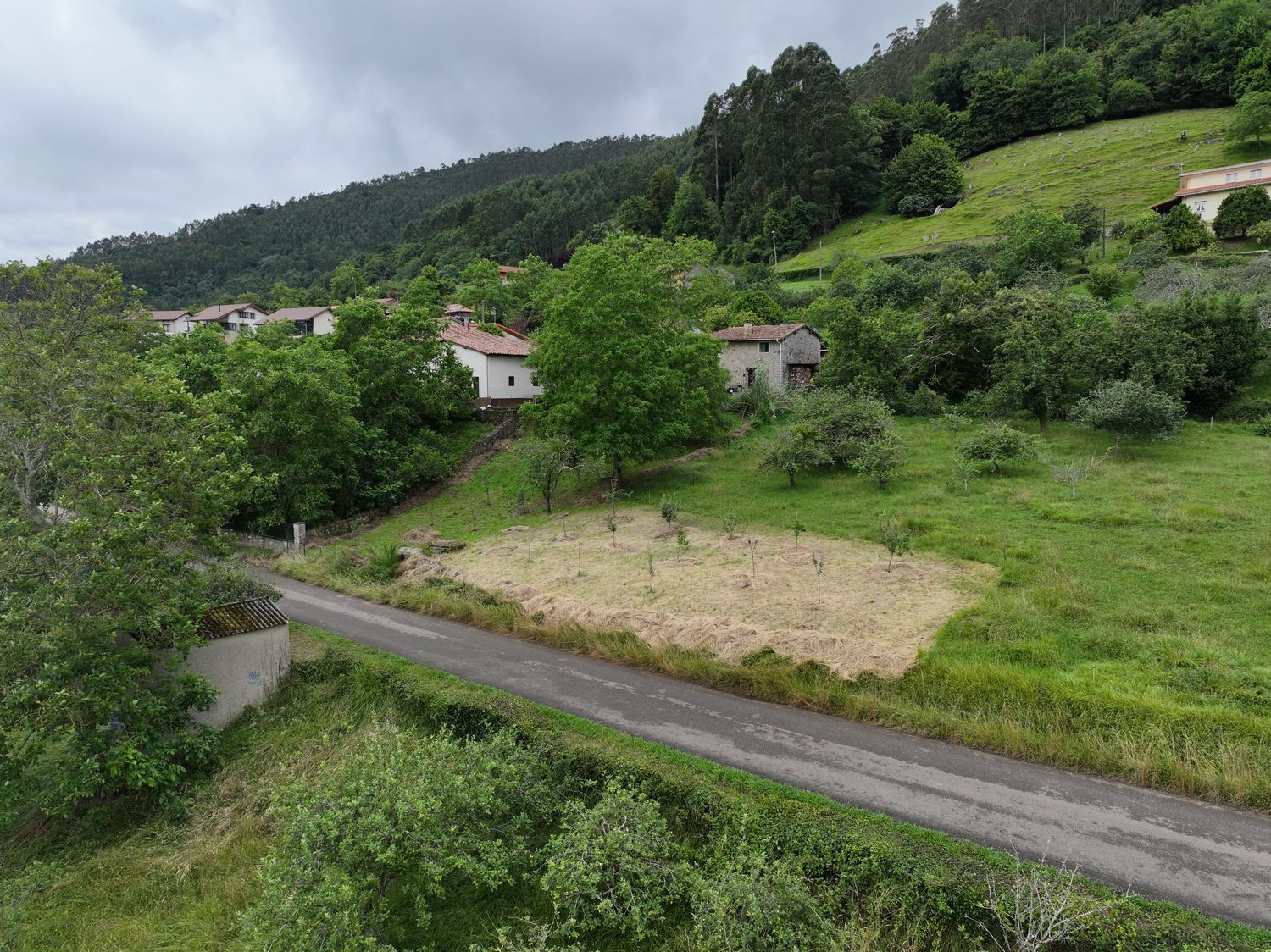 Fincas y solares-Venta-Villaviciosa-1766343-Foto-16