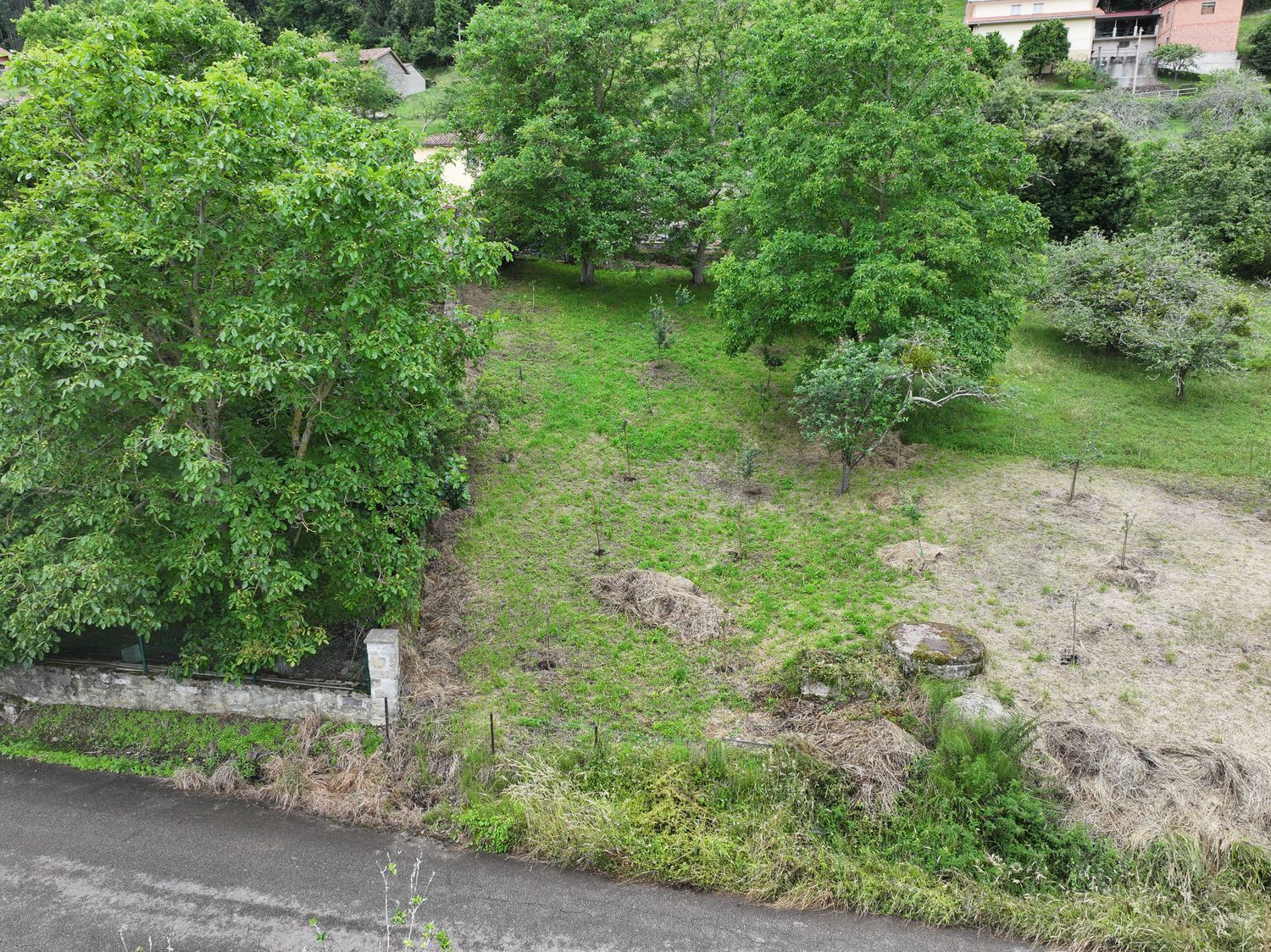 Fincas y solares-Venta-Villaviciosa-1766343-Foto-19