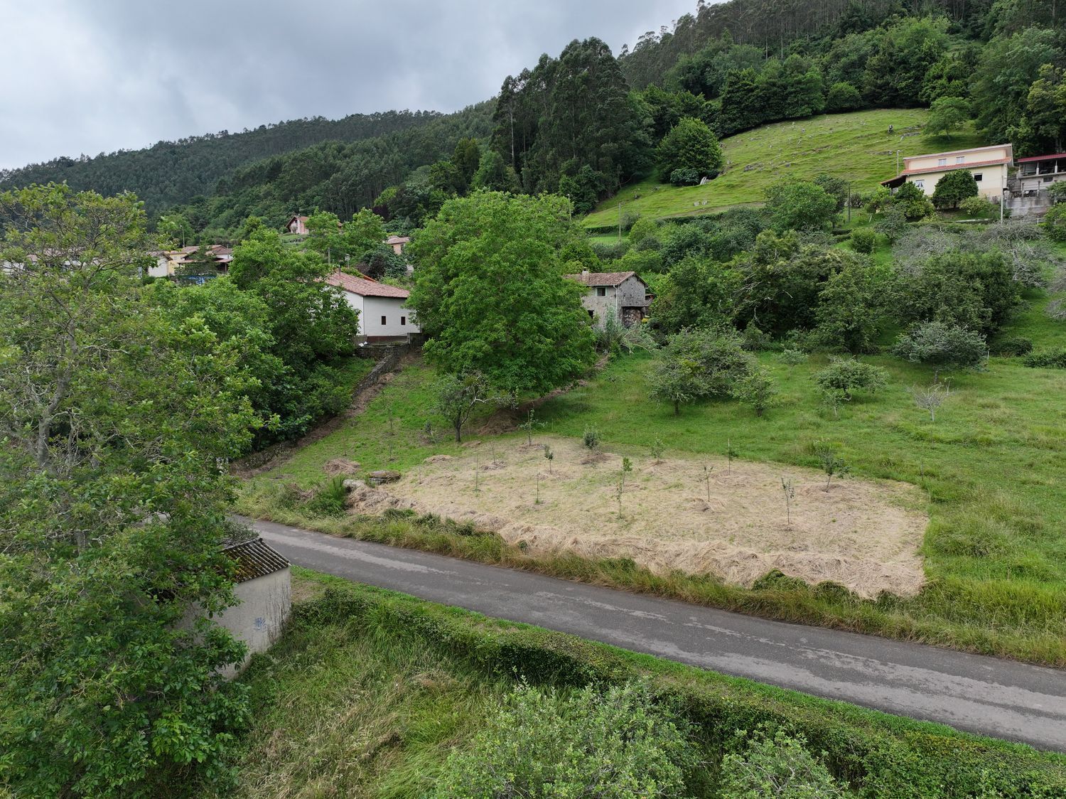 Fincas y solares-Venta-Villaviciosa-1766343-Foto-18