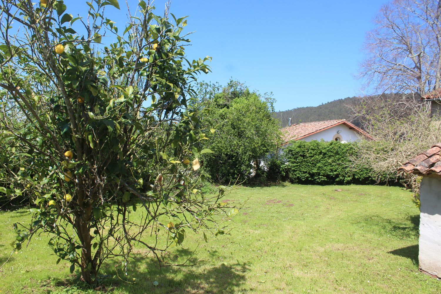 Casas o chalets-Venta-Villaviciosa-1731787-Foto-7