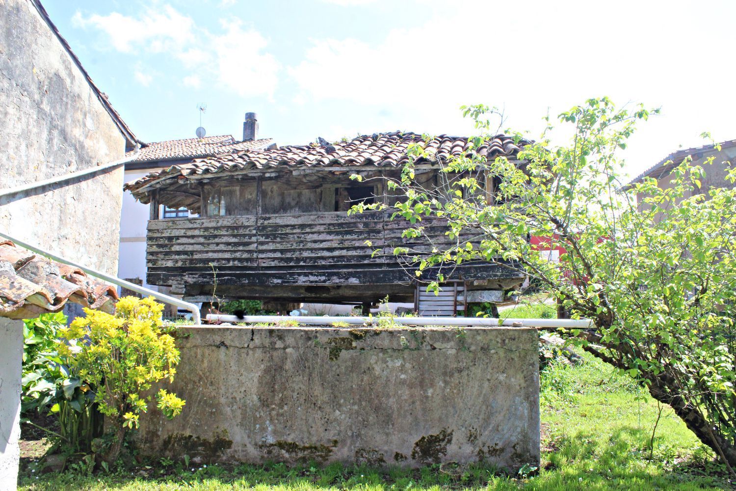 Casas o chalets-Venta-Villaviciosa-1731787-Foto-11