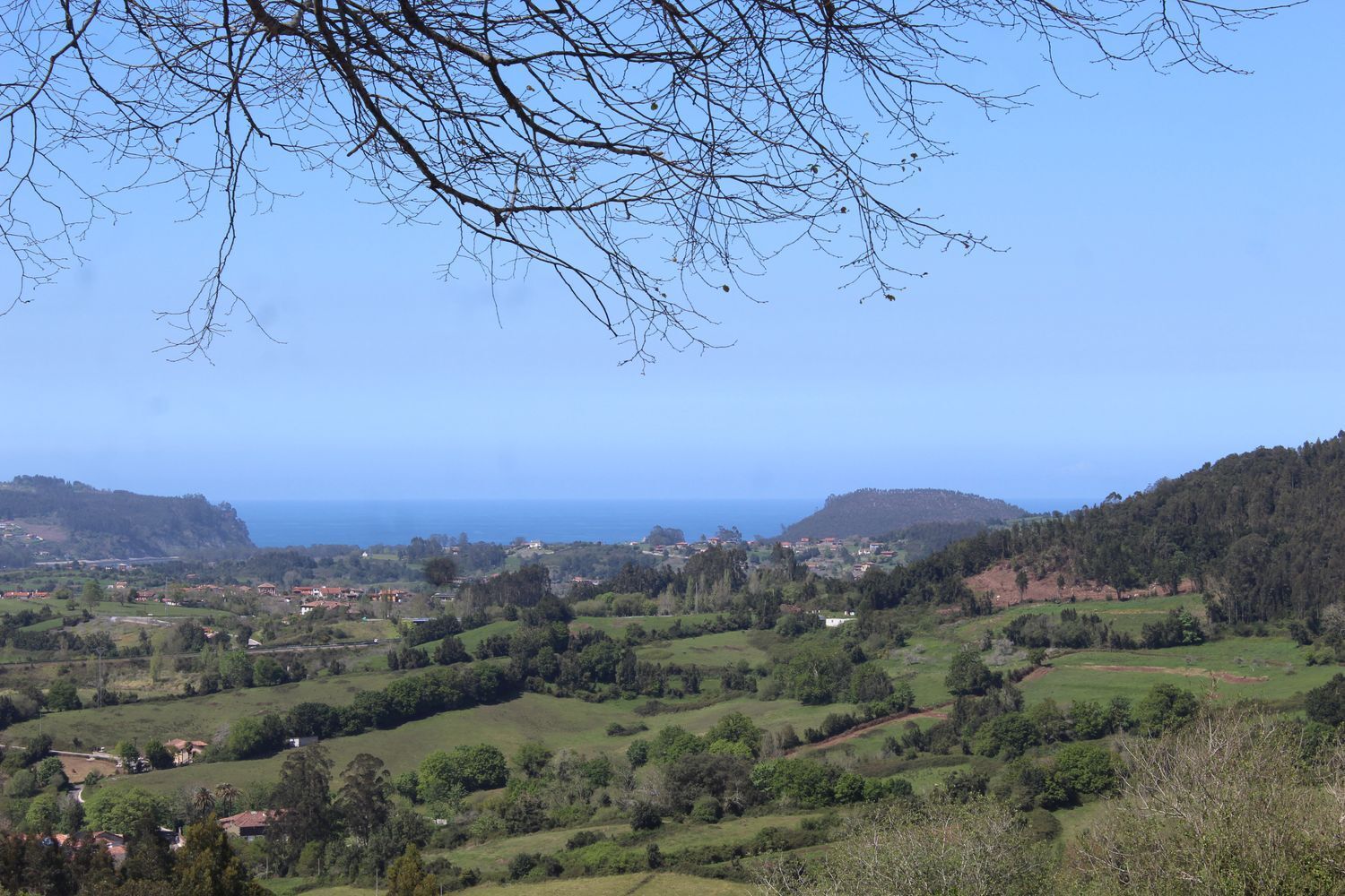 Casas o chalets-Venta-Villaviciosa-1731787-Foto-49
