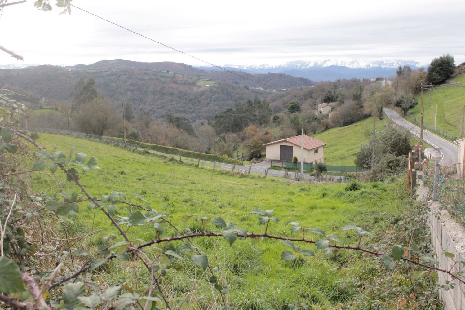 Fincas y solares-Venta-Bimenes-499986-Foto-2
