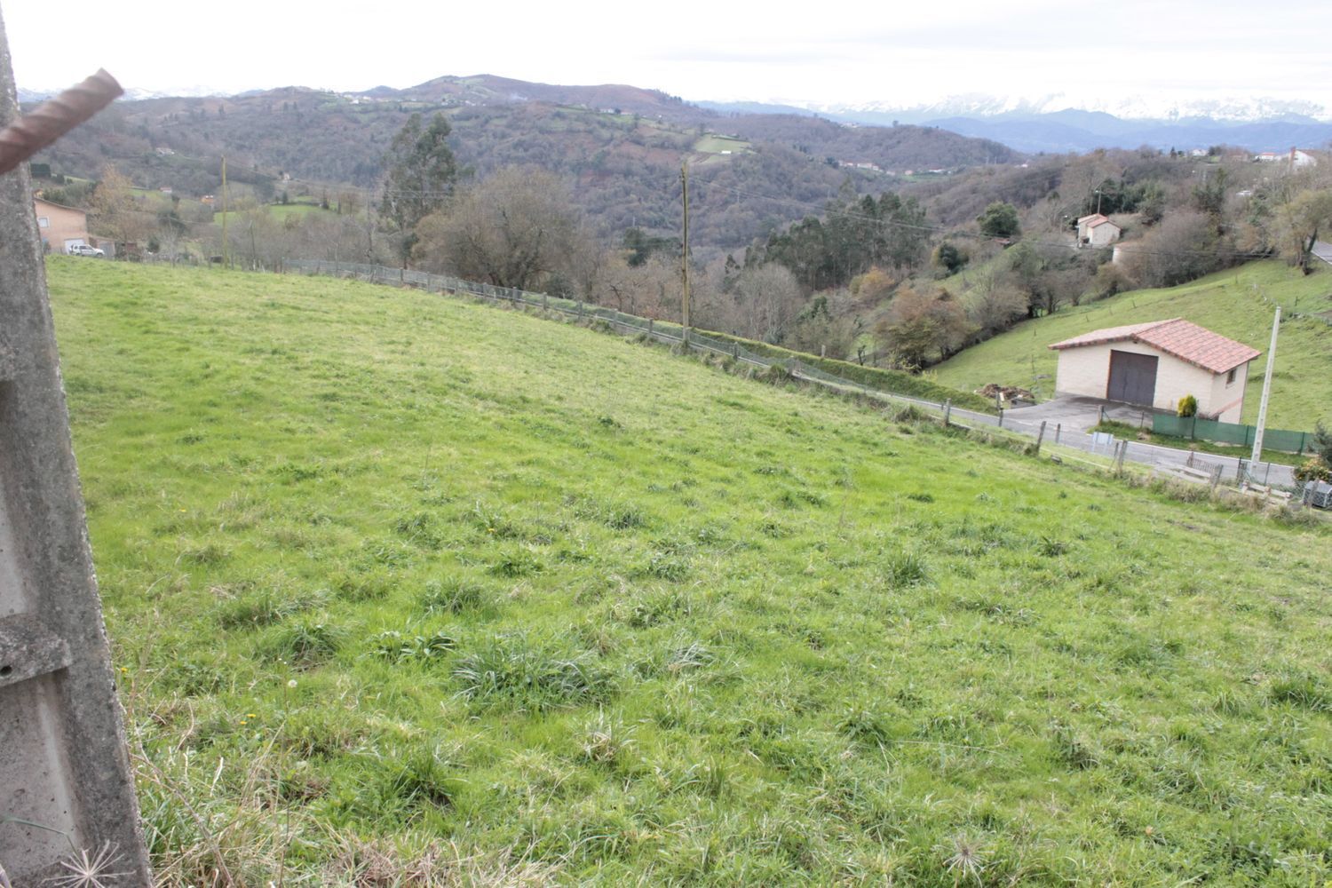 Fincas y solares-Venta-Bimenes-499986-Foto-8