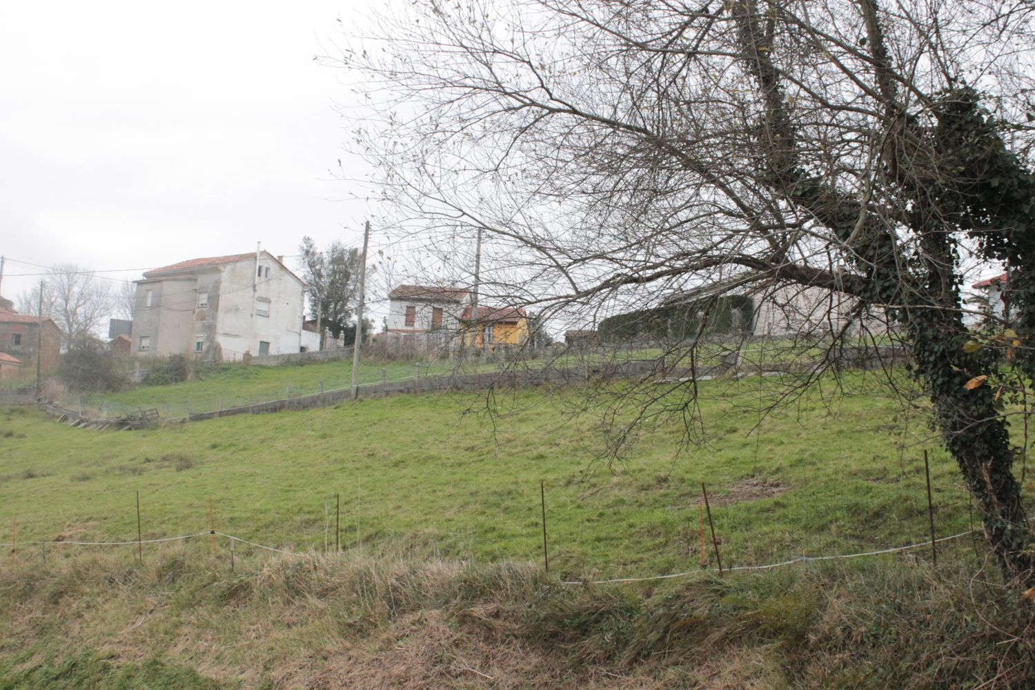 Fincas y solares-Venta-Bimenes-499986-Foto-15