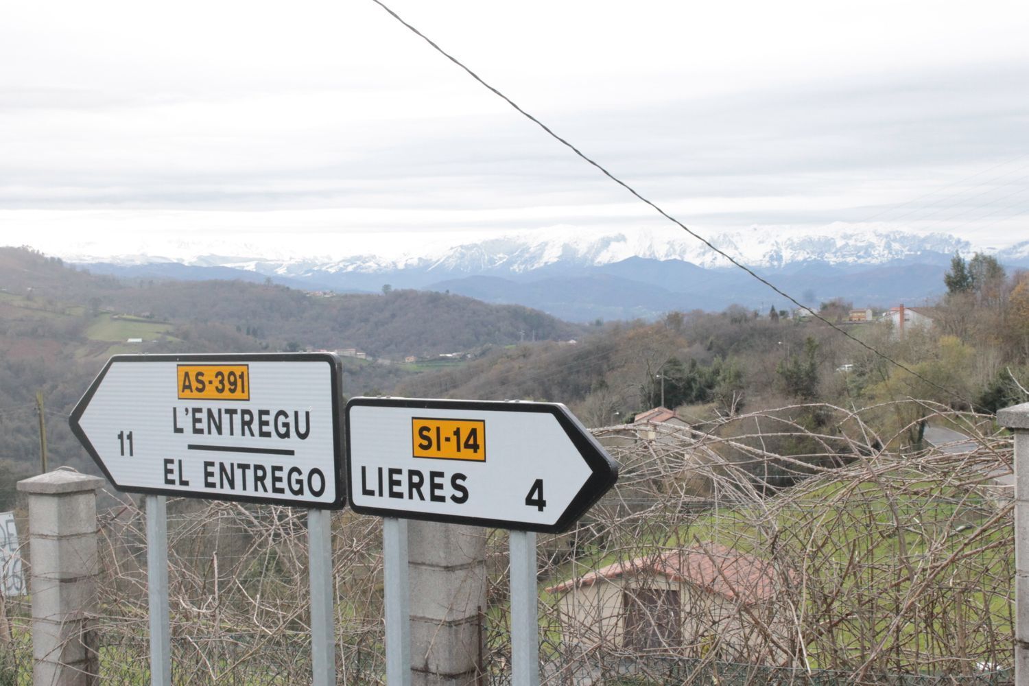 Fincas y solares-Venta-Bimenes-499986-Foto-10