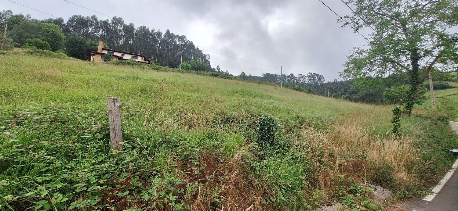 Fincas y solares-Venta-GijÃ³n-1762229-Foto-18