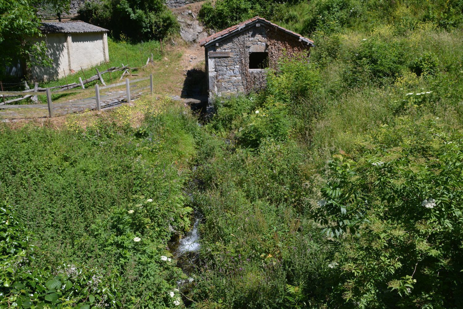 Casas o chalets-Venta-Oseja de Sajambre-876609-Foto-10