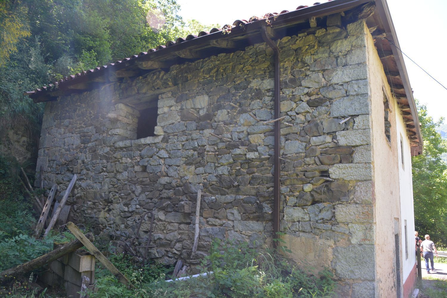 Casas o chalets-Venta-Oseja de Sajambre-876609-Foto-7